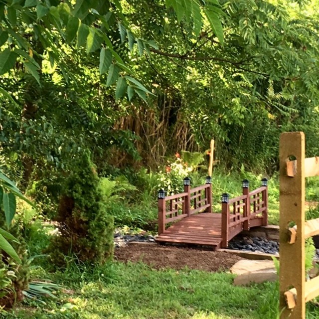 Nature Bridge Path