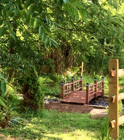 Nature Bridge Path