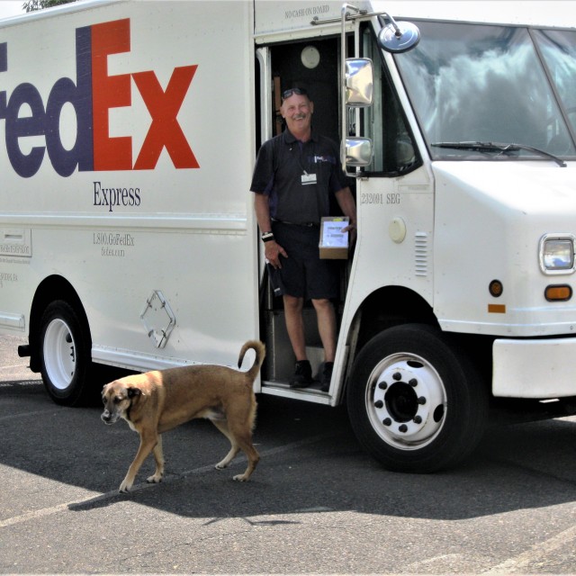 FedEx